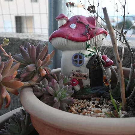 Accommodatie bij particulieren Sun *